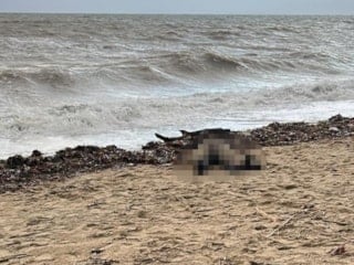 Balıkesir'de sahiline kadın cesedi vurdu