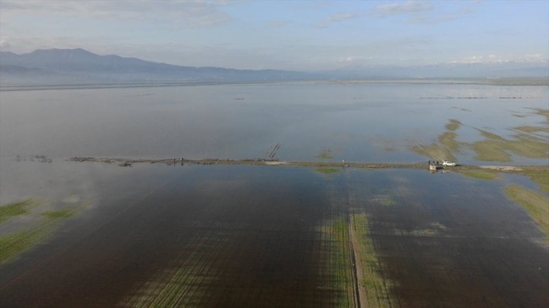 Kahramanmaraş’ta yağışlar tarım arazilerini vurdu: 20 bin dönüm su altında