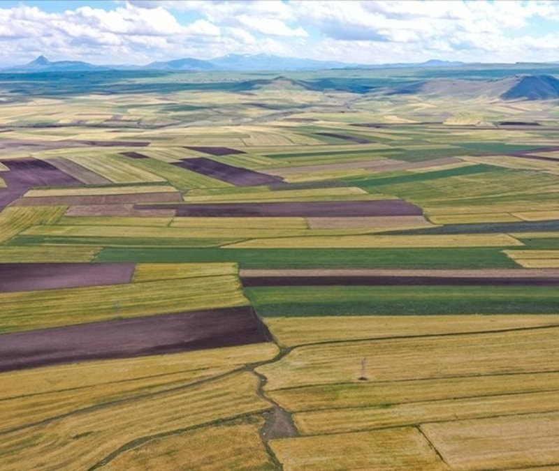 Tarla ve arsa satışı 2025'te 1,6 milyonu geçti
