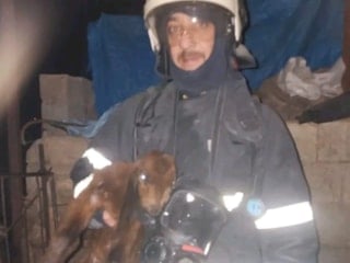 Hatay’da ahırda korkutan yangın