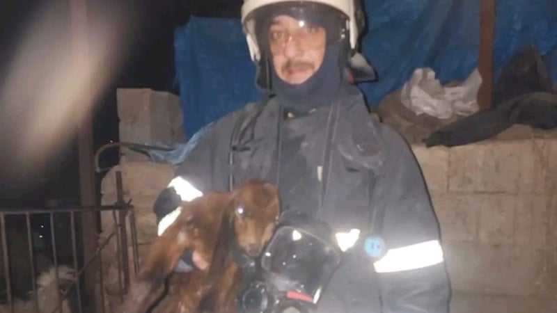 Hatay’da ahırda korkutan yangın