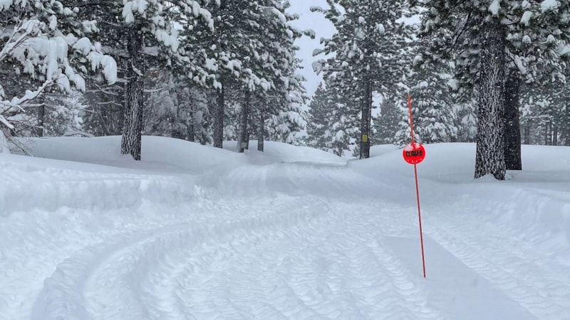 ABD'de çığ felaketi: 8 kayakçının cansız bedenine ulaşıldı