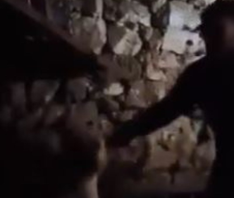 Mardin'de çocuğu ahırda darbeden şüpheli tekrar gözaltına alındı