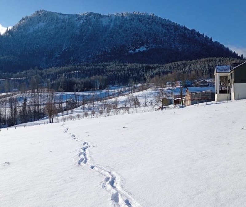 Sakarya’nın yükseklerine kar geri döndü