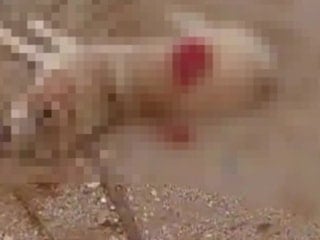 Antalya'da köpeği av tüfeğiyle öldüren şüpheli yakalandı