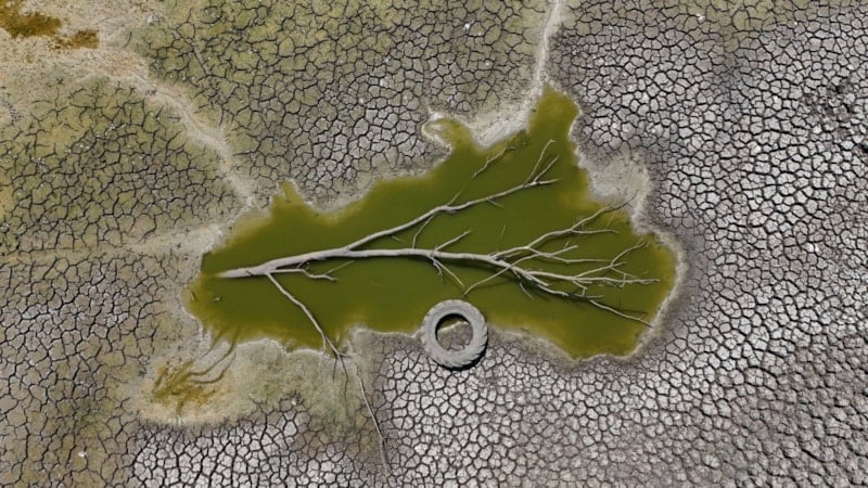 Yılın Kareleri 2025: Emine Erdoğan’ın Oyları ve Gazze Özel Kategorisi