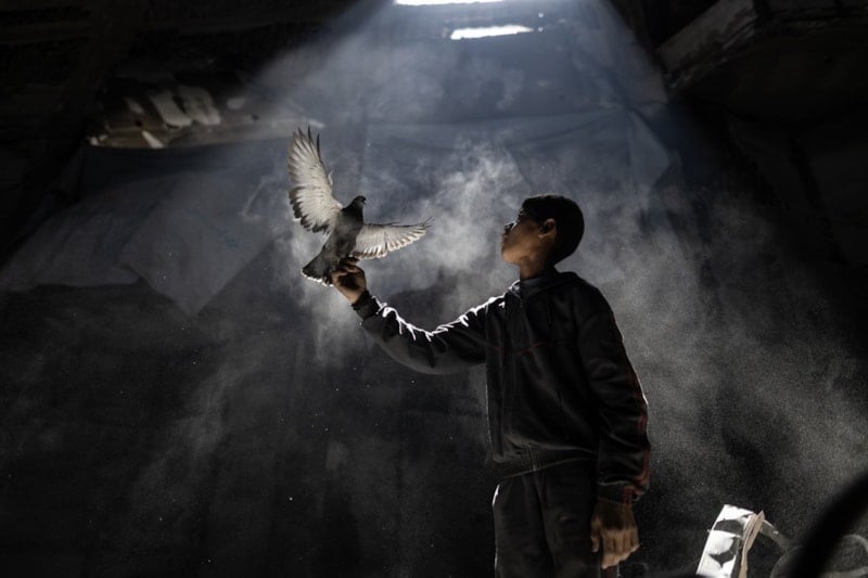 Yılın Kareleri 2025: Emine Erdoğan’ın Oyları ve Gazze Özel Kategorisi