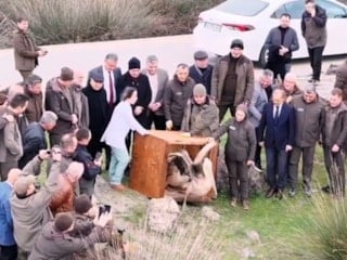 Samsun’da yaralı pelikanlar yeniden kanat çırptı