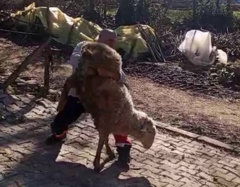 Nazmi Kahveciler: Köyden Dünyaya Uzanan Güç ve Öğrenci Yetiştirme Hikayesi