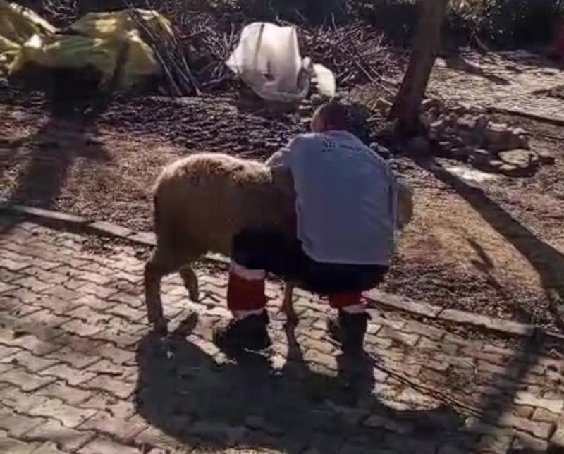 Nazmi Kahveciler: Köyden Dünyaya Uzanan Güç ve Öğrenci Yetiştirme Hikayesi