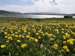 Cemre düşme tarihleri 2026: İkinci cemre ne zaman ve nereye düşecek?