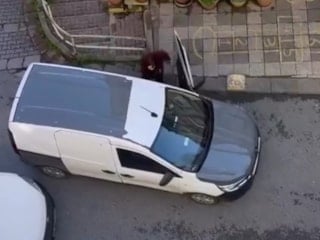 İstanbul'da mahallede park kavgası