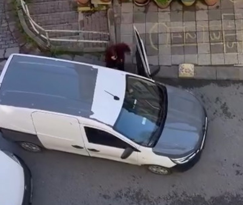 İstanbul'da mahallede park kavgası