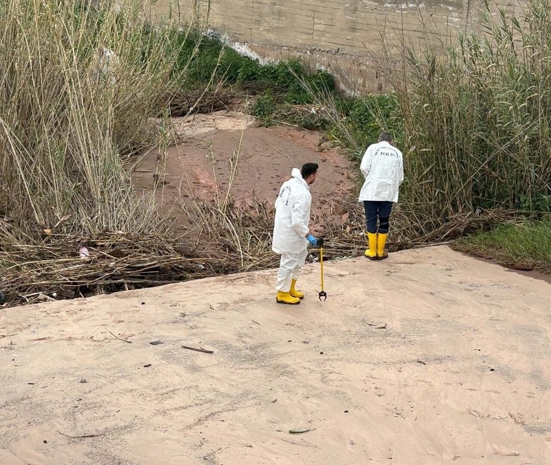 Aydın'da yaşlı çiftin öldürüldüğü cinayetin faili hurdacı çıktı