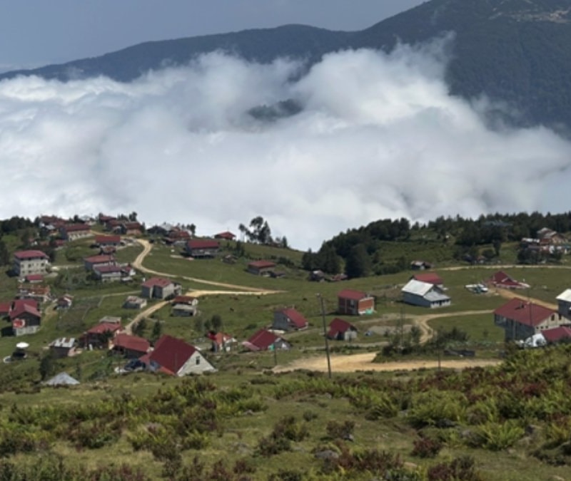 Rize'de 'Atıksız yaylalar' dönemi sona erdi