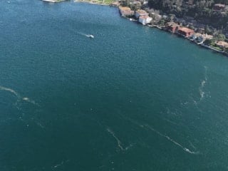 Marmara Denizi'nde yaşanan kirlilik sonrası denizanaları yüzeye çıktı