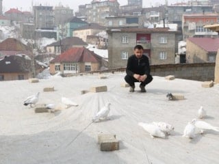 Hakkari'de evinin damında 3 ayrı ırktan 50 güvercin besliyor