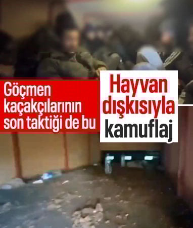 Hatay'da hayvan dışkısıyla kamufle edilmek isteyen kaçak göçmenler yakalandı