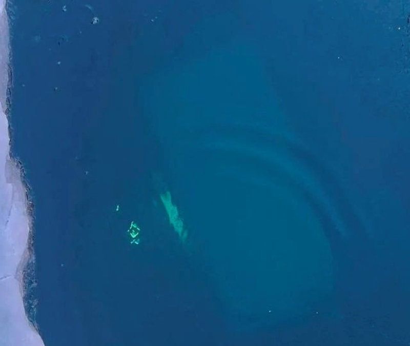 Rusya Baykal Gölü'nde bir tur aracı buz kırılınca suya düştü: 8 ölü