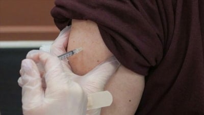 İstanbul'da kuduz alarmı: 2025 yılında yaklaşık 124 bin kişi hastanelere başvurdu