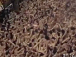 Japonya'da 500 yılı aşkın, çıplaklar festivali geleneği