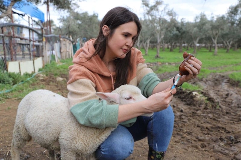 Aydın Adnan Menderes Üniversitesi Hastanesinde Çalışan Hemşireye Çiftçilikte Yeni Yol: Elindeki Ürünlerle Hayvanları ve Ailesini Büyütüyor
