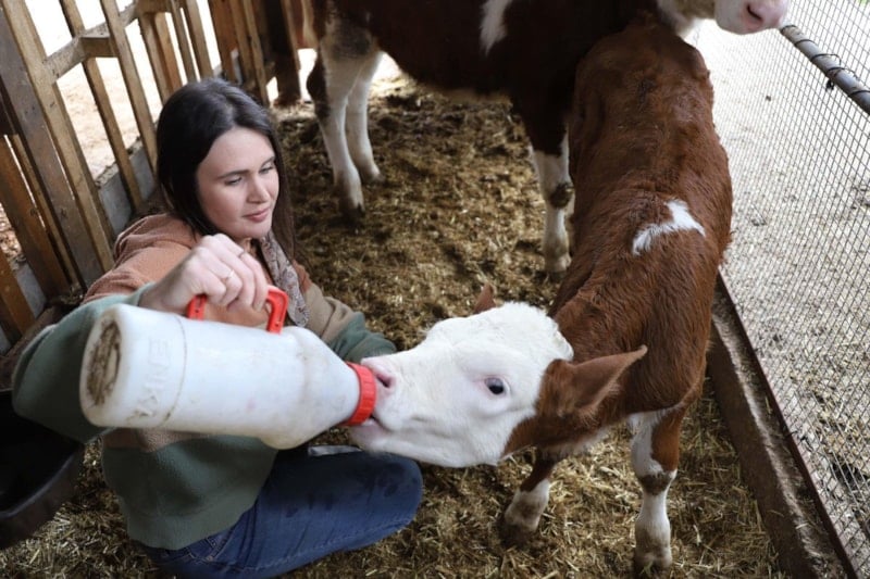 Aydın Adnan Menderes Üniversitesi Hastanesinde Çalışan Hemşireye Çiftçilikte Yeni Yol: Elindeki Ürünlerle Hayvanları ve Ailesini Büyütüyor