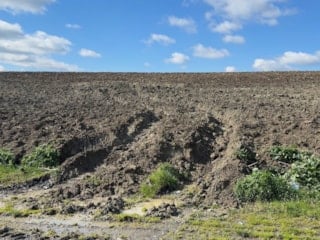 İstanbul’da kayıp Çinli iş insanının cesedi gömülü bulundu