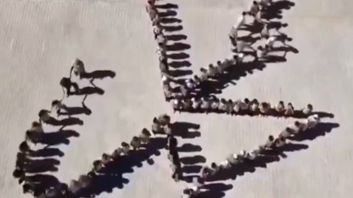 Adıyaman'da öğrenciler anlamlı bir koreografiye imza attı