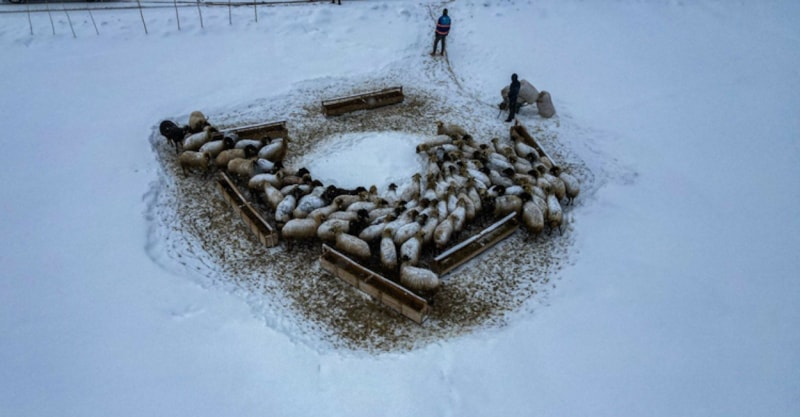 Karlı Zorlukların İçinden: Turna Gol ve Karaağıl’da Kış Mücadelesi