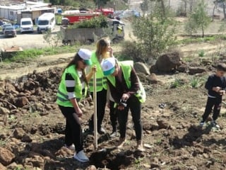 Hatay’da yangın alanları yeşile bürünüyor