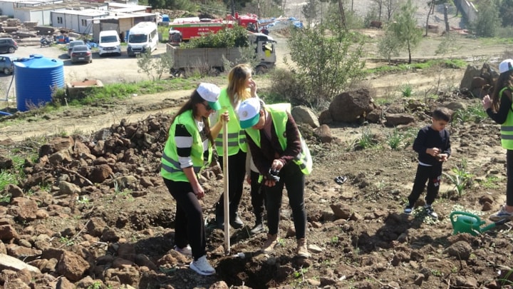 Hatay’da yangın alanları yeşile bürünüyor