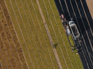 Tarımda Hazine destekli krediler: 5 soruda kısa rehber