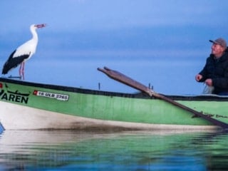 15. yılında: Yaren Leylek geldi mi, ne zaman gelecek? Eşi geldi bile...