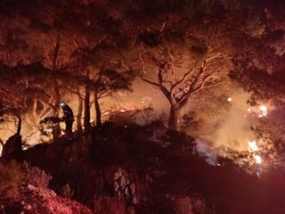 Muğla'da ormanlık alanda yangın: 2 dönüm alan zarar gördü