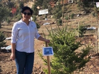 Bolu'da oğlunun mezarı başında kalp krizi geçiren anne hayatını kaybetti