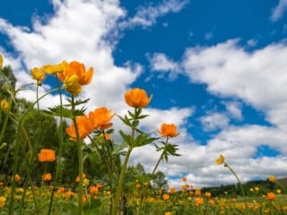 Havadan sonra suya da düştü! Üçüncü cemre toprağa ne zaman düşecek?