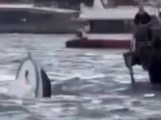 İstanbul'da yolcu vapuru balıkçı teknesine çarptı