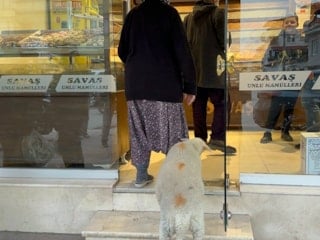 Bursa'da kuzu Çorap, yanından ayrılmadığı sahibi ile pide sırasına giriyor