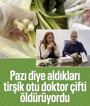 Mersin'de doktor çift ölümden döndü: Pazı sandı, tirşik otu çıktı