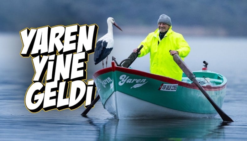 Bursa'da Yaren Leylek 15. yılda da göçüp geldi