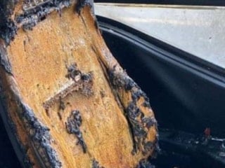 Ankara'da bindiği otobüsü ateşe verip, yangın çıkaran şüpheli tutuklandı