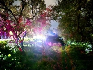 Bursa'da trafik kazasından kaçan sürücü, zeytinliğe daldı