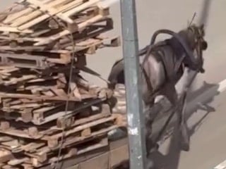 Bursa'da at arabasına üst üste bindirilen paletler tepki çekti