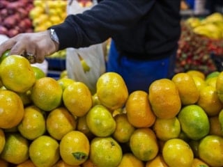 Tarım ve gıda sektörüne ocak ayı ihracatı: 2,4 milyar dolar