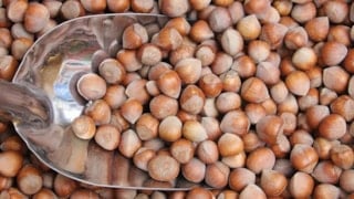 TMO kabuklu fındık satışı yapmadığını duyurdu