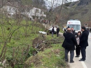 Başıboş sokak köpeği kazaya neden oldu: 1 ölü