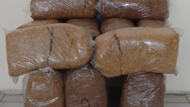 Samsun'da kaçak tütün operasyonu