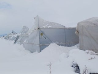 Erzincan’da çiftçilere kar ve tipi uyarısı