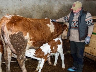 İstanbul’u bırakıp köyüne dönen mühendis, Erzurum’da ilham oluyor